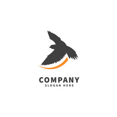 Falcon logo design template, icon illustration