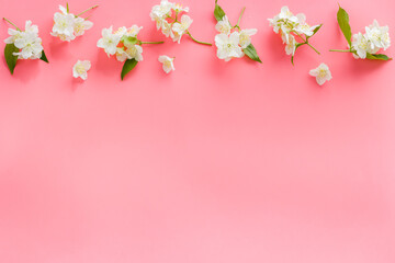 Obraz na płótnie Canvas Top view of blossom jasmine flowers. Floral pattern flat lay