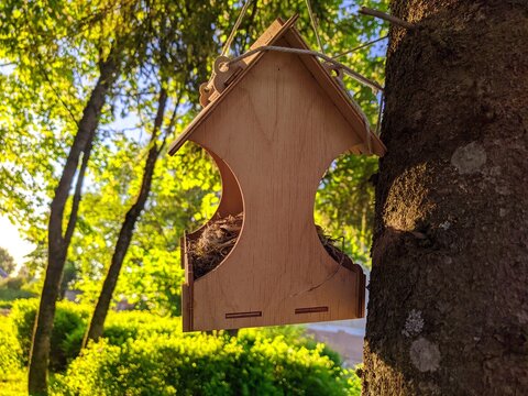birdhouse hanging on a tree in the summer season.