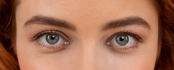 Naklejka premium Beautiful female eyes with arched eyebrows and natural eye makeup, eyesight