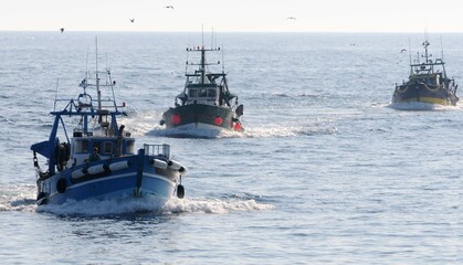 Arrivage des bateaux de pêche dans le port du Guilvinec en pays Bigouden Finistère Cornouaille...