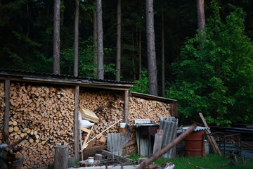 Lawn at the backyard, a pile of firewood under a canopy, coniferous forest at the background.
