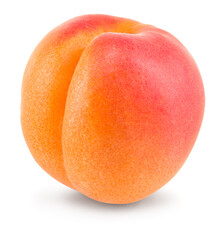 apricot fruit isolated on white background. clipping path