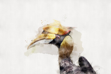 Hornbill on a white background. Watercolor style. © wasan