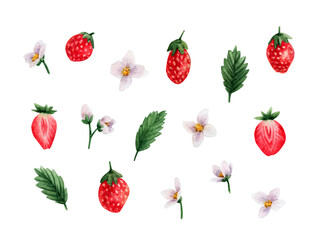 Strawberries in watercolor