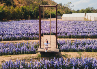 Cheerful young asian woman playing wooden swing in margaret flower blooming in garden