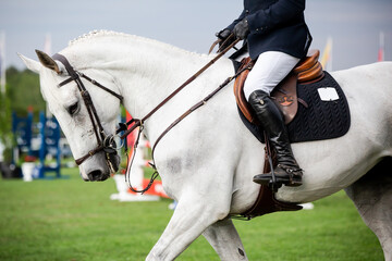 	
Equestrian Sports photo-themed: Jockey riding a horse at a horse jumping competition 