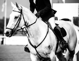 Black and white Equestrian Sports photo-themed: Man riding a horse.