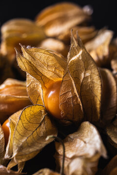 Pattern of physalis on dark table