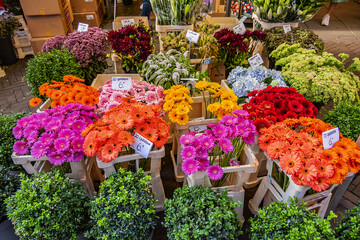 Fresh tulips, bulbs, artificial flowers are on sale on Amsterdam Flowers market (Bloemenmarkt). Bloemenmarkt is famous market on Singel canal. Amsterdam, The Netherlands.
