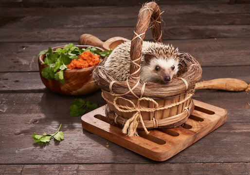 Cute hedgehog in wicker basket on table
