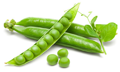 Fresh green pea pods with green peas isolated on white background. clipping path