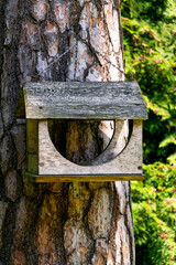 An old bird feeder on a pine tree in the park.
