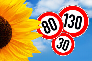 Sonnenblume und Schilder Geschwindigkeit 130  80  30