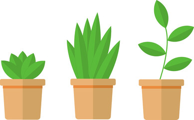 potted plants with green leaf