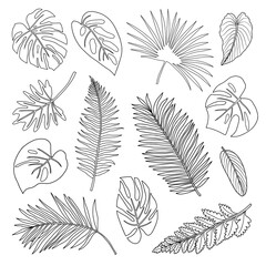 Set of contour tropical leaves.