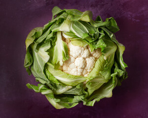 Fresh Whole Cauliflower on a Purple Background