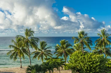 Schilderijen op glas Beach on a island of Barbados with coconut palms © Fyle
