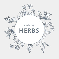 Vintage frame made of medicinal herbs and plants. Banner design from botanical flowers. Vector template.