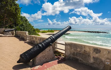 Wandcirkels aluminium Needham's Point fort with cannons on the island of Barbados © Fyle