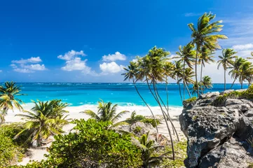 Foto op Aluminium Bottom Bay beach in Barbados © Fyle