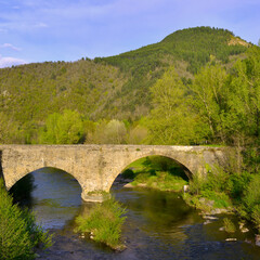 Fototapeta premium Carré le pont du Tarn à Florac-Trois-Rivières (48400), départementde la Lozère en région Occitanie, France