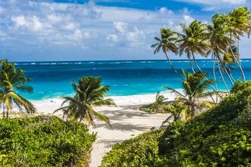 Wandcirkels aluminium Bottom Bay beach in Barbados © Fyle