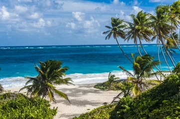 Outdoor kussens Bottom Bay beach in Barbados © Fyle