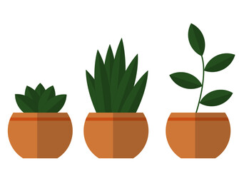 circle pooted plant with green leaf