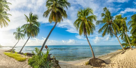 Keuken foto achterwand Barbados beach panoramic photo © Fyle