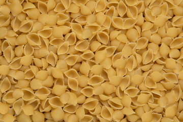 seashell pasta. food background,texture