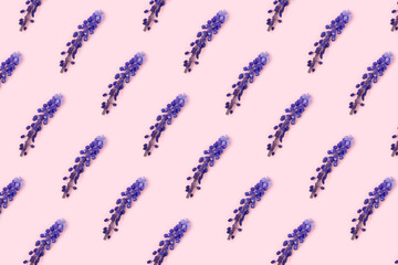 Repetitive pattern made from head of violet muscari flowers on a pink background.