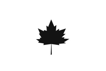 silhouette maple leaf on white background.maple leaf sign,flat style.concept for sign, symbol, icon ect