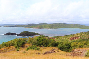 Fototapeta premium Paysages Presqu'île de la Caravelle Martinique Antilles Françaises