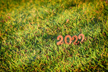 Wooden number 2022 with sunlight on green grass background. Happy new year concept and natural idea