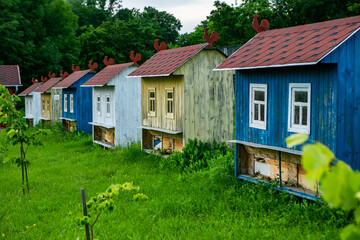 Fototapeta na wymiar Colored bee houses on green meadow in countryside. Honey bee hives. Beautiful small decorative houses.