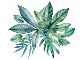 Composition of tropical plant leaves on a white background. Watercolor illustration