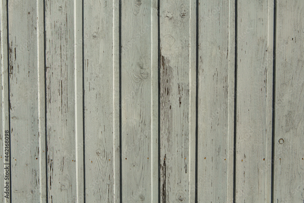 Wall mural vintage white wood background texture with knots and nail holes. old painted wood wall