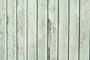 Obraz premium Vintage white wood background texture with knots and nail holes. Old painted wood wall
