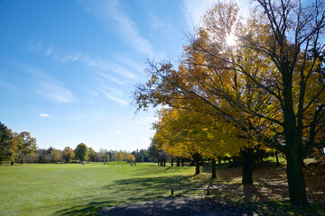 Fototapeta na wymiar The golf course in autumn with lens flare