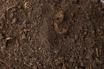 A heap of black dark brown peat, a natural fertilizer formed from particles of dead bog plants. Peat as a mineral material in natural production close-up macro