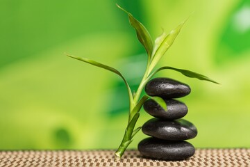 Balancing Pebbles with Bamboo Leaf