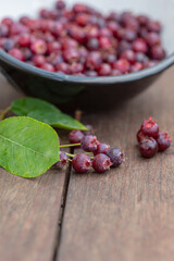 Schmackhafte  Felsenbirne Beeren 