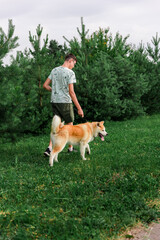 A young man walks in a summer park with a young puppy of a dog Akita. Different. The concept of friendship between a man and a dog.