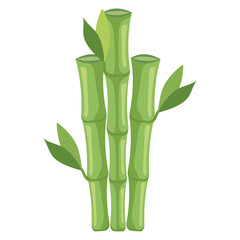 Fototapeta na wymiar bamboo nature icon