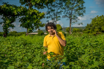 Young man farmer in a cotton farm talking or using mobile.