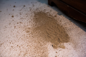 Carpet floor flooring with accident of herb powder dirt fallen and made a mess in dark room bedroom...