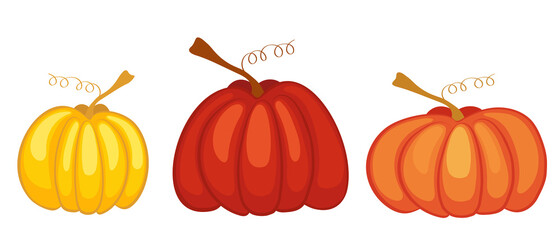 Pumpkins orange for Halloween, flat vector illustration in cartoon style. Autumn harvest of vegetables in orange, vegetarian cuisine.