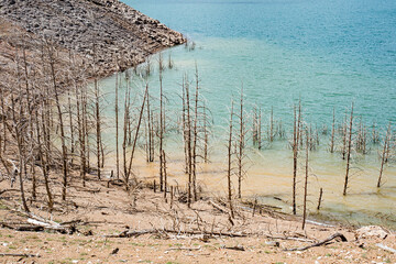Global warming and water crisis. Dry shore of a lake with dead and dry trees due to the effects of...