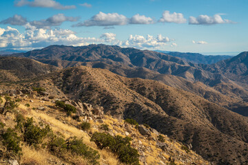 Vista at Joshua Tree National Park